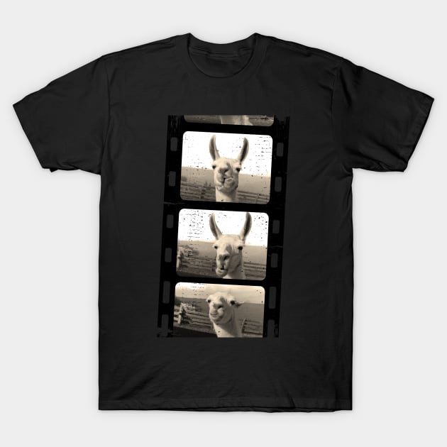 Funny vintage Love llama alpaca photo T-Shirt by BurunduXX-Factory